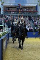 Cavalry - 00198